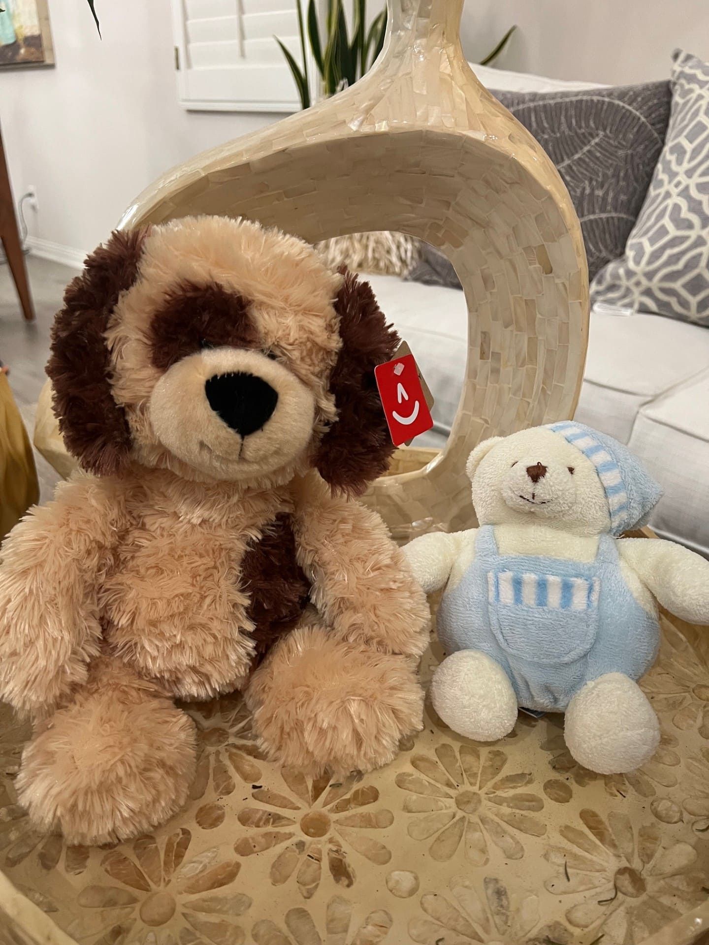 Plushies for November 2025 Bags of Hope Child