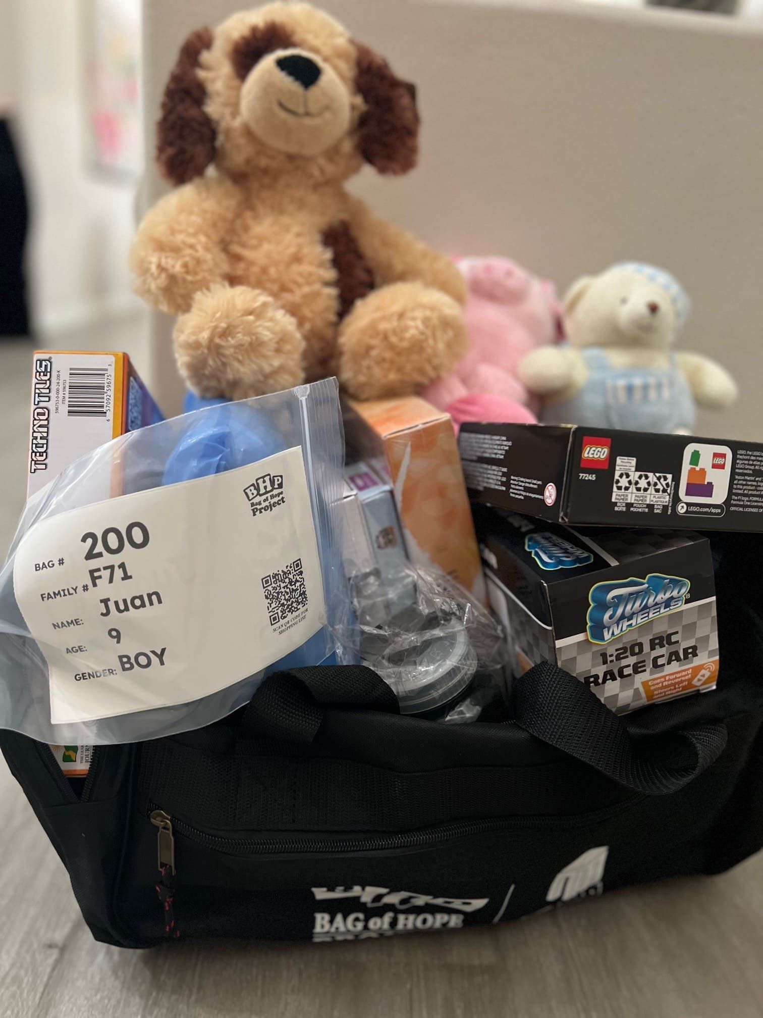 November 2025 Bags of Hope